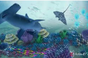 kiayun网页版最新版